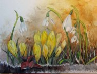 Frühlingsboten (c) ein Aquarell mit Krokussen und Schneeglöckchen von Frank Koebsch