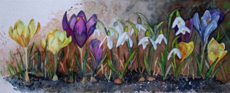 Die Frühlingssonne lockt die ersten Blüten (c) Aquarell mit Krokussen und Schneeglöckchen von Frank Koebsch