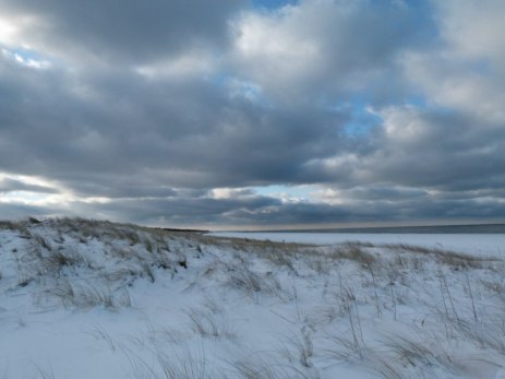 Winter an der Ostsee (1) (c) Frank Koebsch