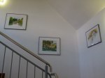 Unsere Aquarelle im Treppenhaus der SWR (c) FRank Koebsch - 1
