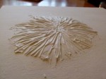 Struktur einer Chrysantheme durch Spachtelmasse 3 (c) Frank Koebsch