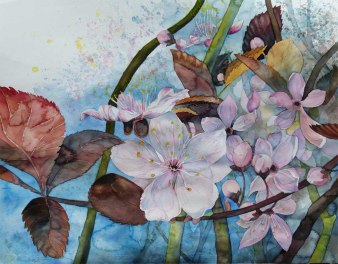Blüten der Zierkirschen künden vom Frühling (c) Aquarell von Frank Koebsch