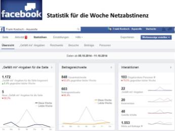 Facebook - Statistik für die Woche Netzabstinenz (c) Frank Koebsch