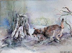 Winterspiel (c) ein Wolfsaquarell von Hanka Koebsch
