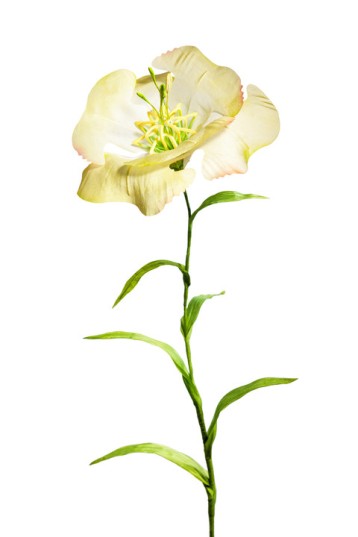 Hermann August Weizenegger, Die falsche Blume – Blume „Lore“, Polyamid, gesintert, Seidenstoff, handkoloriert, 40 cm x ø 10 cm