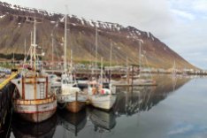 Hafen von Ísafjörður auf Island (c) Frank Koebsch