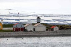 Insel Vigur bei Ísafjörður (c) Frank Koebsch