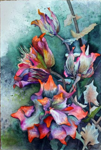 Die Blüten des Sebnitzer Flussteufels (C) Aquarell von Frank Koebsch
