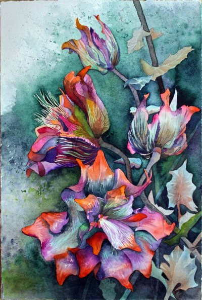 Die Blüten des Sebnitzer Flussteufels (C) Aquarell von Frank Koebsch