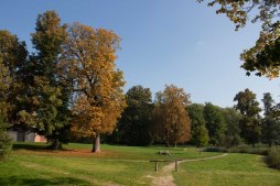 Sonniger Herbst im Park von Putbus (c) Frank Koebsch (1)