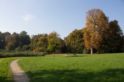 Sonniger Herbst im Park von Putbus (c) Frank Koebsch (2)