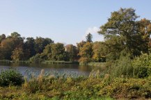Sonniger Herbst im Park von Putbus (c) Frank Koebsch (3)
