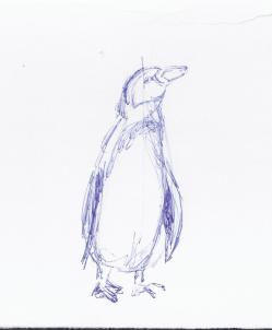 Skizze Pinguin frontal (c) Frank Koebsch