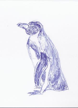 Skizze Pinguin seitlich (c) Frank Koebsch
