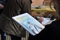 Malen bei den Pinguienen des Rostocker Zoos (c) Maria Zepplin (4)