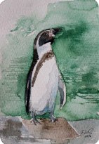Pinguin (c) Miniatur in Aquarell von Frank Koebsch (1)