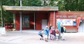 Atelier Natur im Rostocker Zoo - Ort der aktuellen Ausstellung unserer Aquarelle (c) FRank Koebsch
