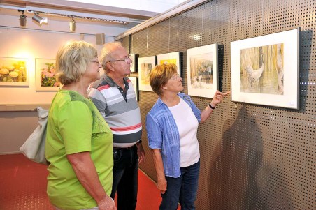 Die Besucher der Ausstellung im Rostocker Zoo interessierten sich besonders für die Kranich Aquarelle