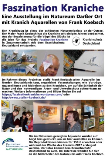 Informationstafel für die Ausstellung Faszination Kraniche von FRank Koebsch im Natureum Darßer Ort