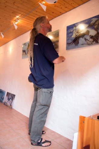 Mike Peters vom Deutsches Meeresmuseum hängt die Drucke der Kranich Aquarelle (c) FRank Koebsch