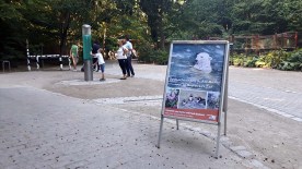 Plakat fur unsere Ausstellung -Beobachtungen in der Natur und im Rostocker Zoo (c) Frank Koebsch