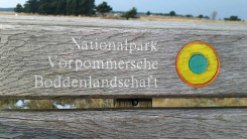Nationalpark Vorpommersche Boddenlandschaft (c) FRank Koebsch