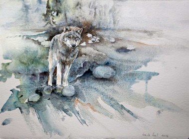 Suchender (c) ein Wolfs Aquarell von Hanka Koebsch