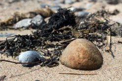 Steine am Strand von Klein Zicker (c) FRank Koebsch