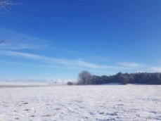 Winterlandschaft an der Peene bei Menzlin (c) FRank Koebsch (1)