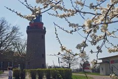 Frühling am Leuchtturm Bastorf. (c) Frank Koebsch