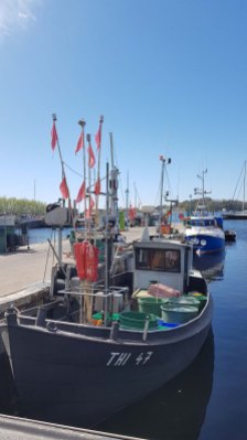 Fischkutter im Hafen von Thiessow (c) Frankk Koebsch (2)