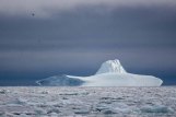Eisberge vor Ilimanaq in der Disko Bucht (3) Frank Koebsch