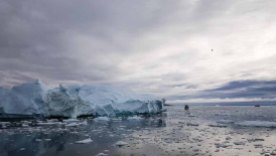 Eisberge vor Ilimanaq in der Disko Bucht (6) Frank Koebsch