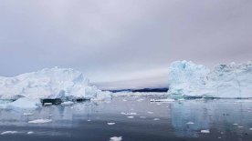 Eisberge vor Ilimanaq in der Disko Bucht (7) Frank Koebsch