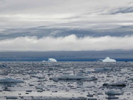 Eisberge vor Ilimanaq in der Disko Bucht (9) Hanka Koebsch