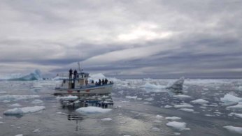 Wir entdecken das Grönland Eis in der Disko Bucht (5) Frank Koebsch