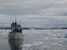 Wir entdecken das Grönland Eis in der Disko Bucht (7) Hanka Koebsch