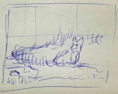 Überlegungen für den Bildaufbau - mit einem Fuchs an seinem Bau auf den Recknitzwiesen (c) FRank Koebsch