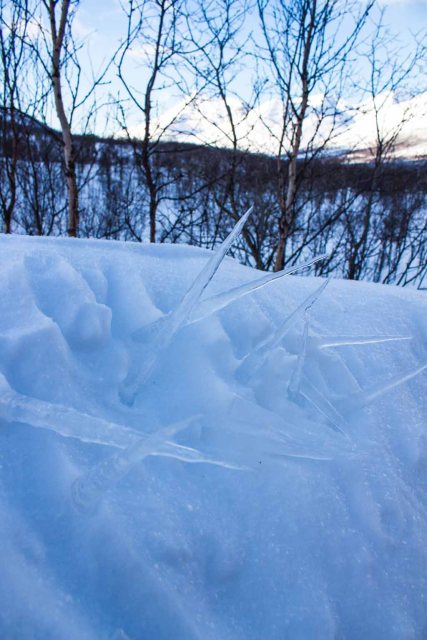 Eiszapfen in der Verschneite norgwegischen Landschaft bei Camp Tamok (c) Frank Koebsch
