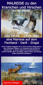 Malreise zu den Kranichen und den Hirschen an der Ostsee vom 19. bis zum 23. September 2021 - Flyer Deckblatt