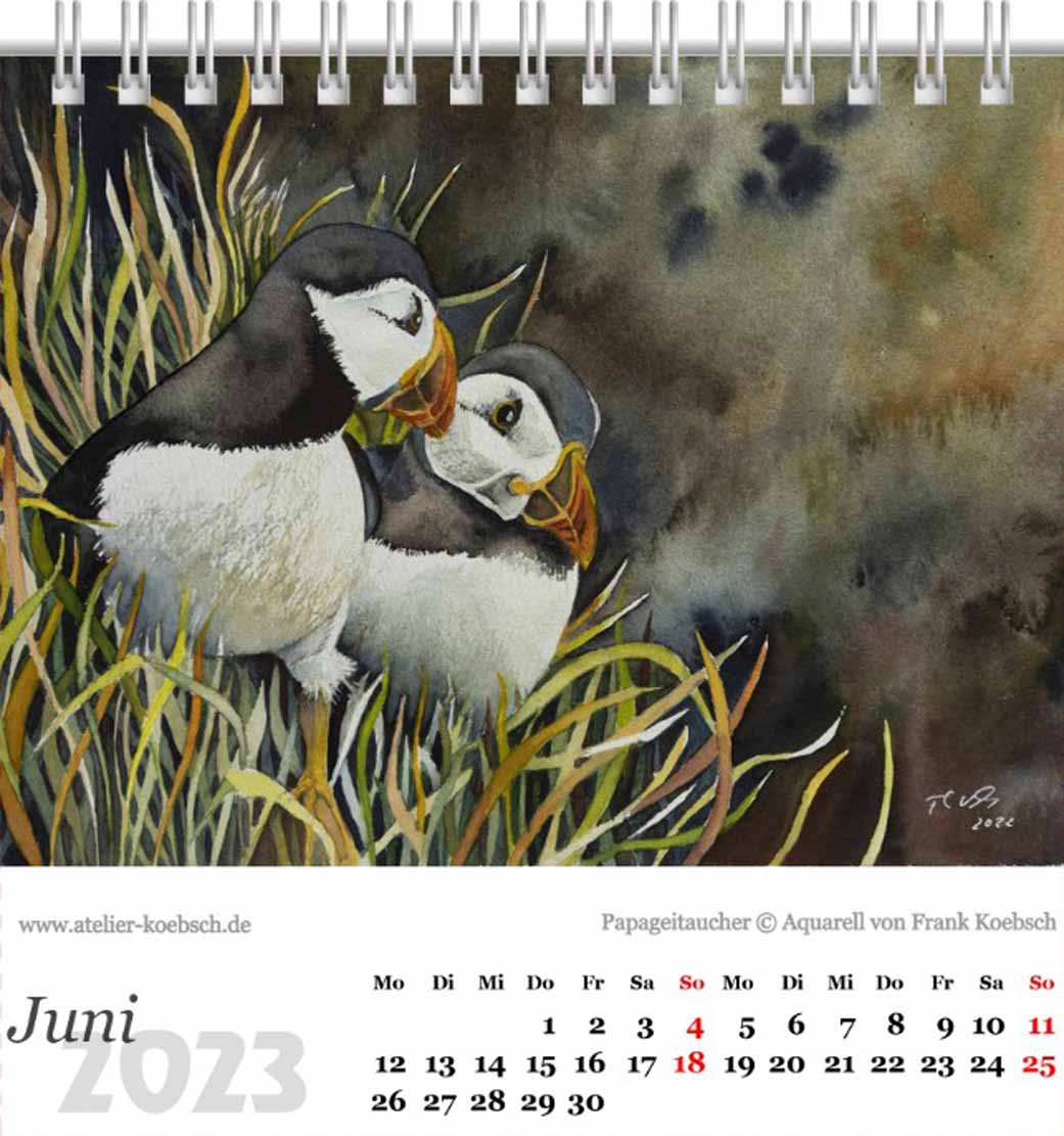 Kalender 2023 mit einer Auswahl von Aquarellen von Hanka & Frank Koebsch – Kalenderblatt Juni