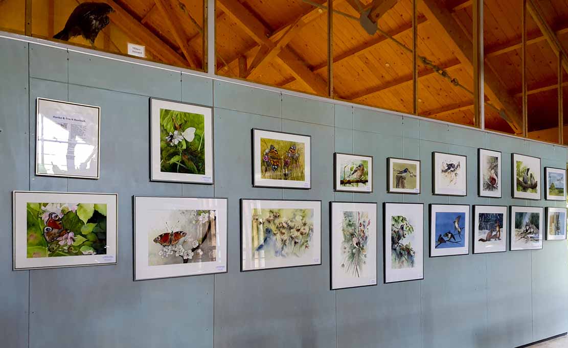 Wild Life Aquarelle von Hanka & Frank Koebsch in der Ausstellung – Wildes Land – im Karower Meiler (4)