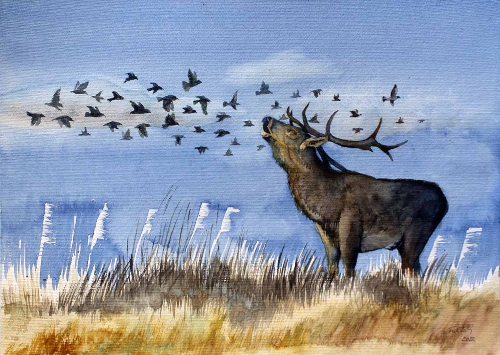 Naturschauspiel - die Begegnung von einem Starenschwarm mit einem Hirsch (c) Aquarell von Frank Koebsch