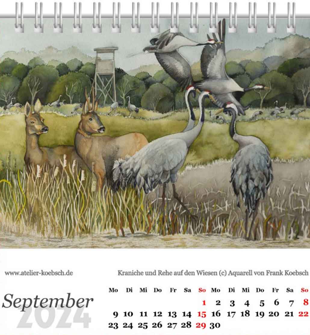 Kalenderblatt September 2024 aus dem Kalender mit Aquarellen von Hanka & Frank Koebsch
