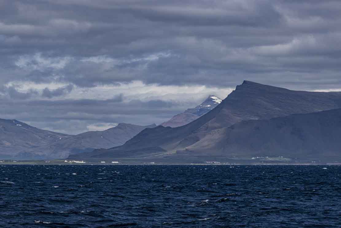 Schnappschüsse beim Whale watching vor Reykjavik (c) FRank Koebsch (1)