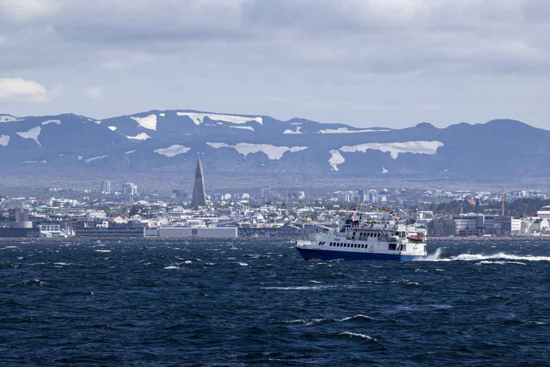 Whale watching bei Reykjavik (c) Frank Koebsch (7)