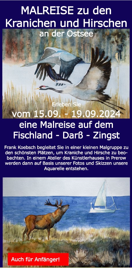 Flyer - Malreise zu den Kranichen und Hirschen an der Ostsee 2024