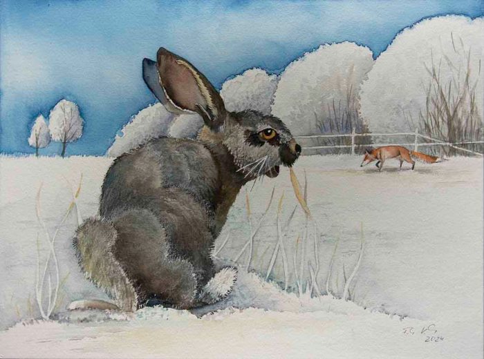 Begegnung von Fuchs und Hase im Schnee (c) Aquarell von Frank Koebsch