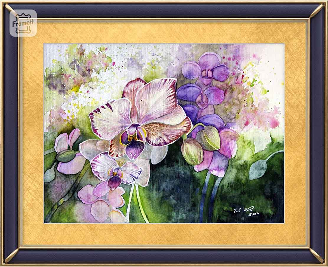 Farbspiel mit Orchideenblüten (c) Aquarell von Frank Koebsch - Beispiel 1 für eine Rahmung