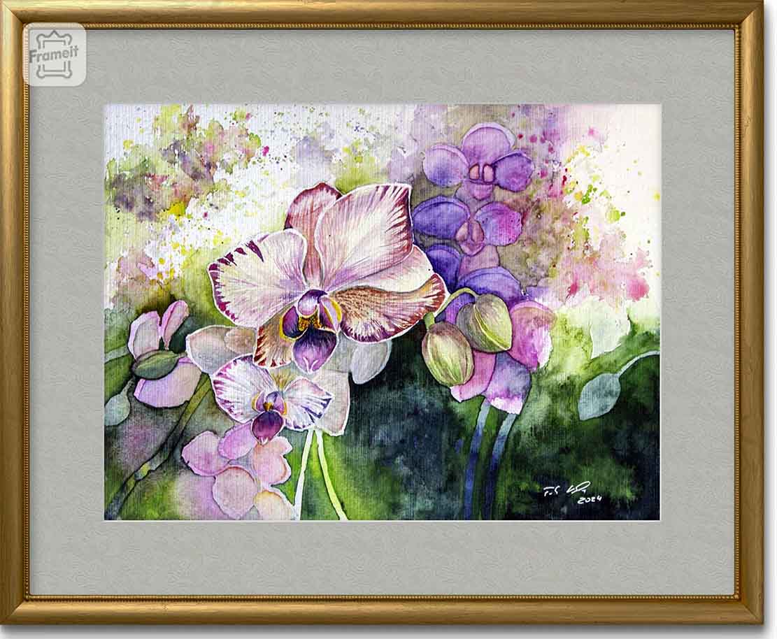 Farbspiel mit Orchideenblüten (c) Aquarell von Frank Koebsch - Beispiel 3 für eine Rahmung